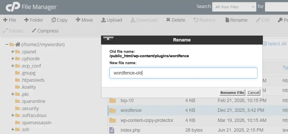 Disable Security Plugin via File Manager