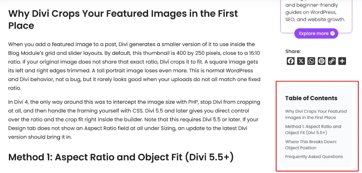 TOC in WordPress Blog without Plugin
